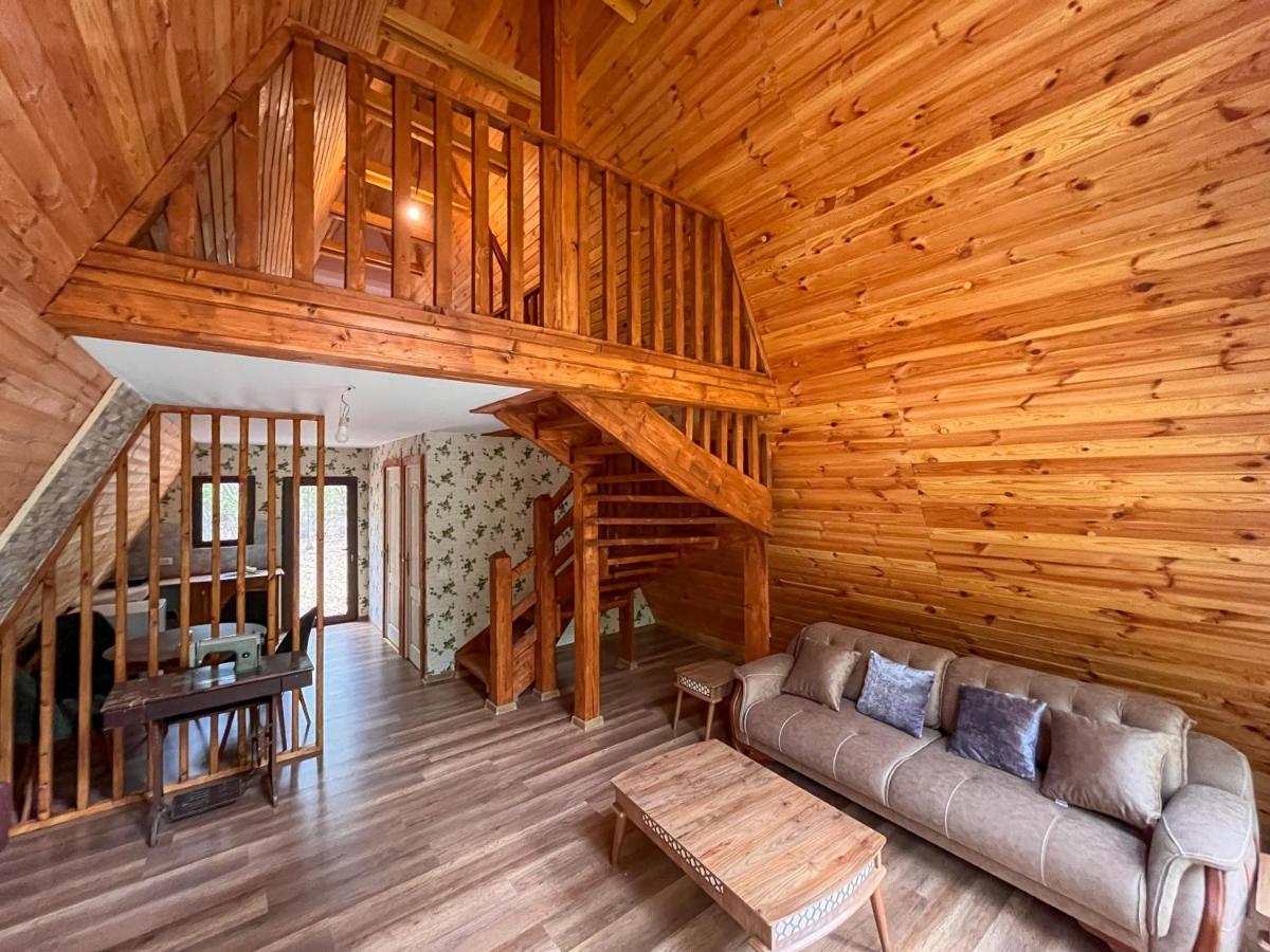 Artarica Villa Calugarenii  ภายนอก รูปภาพ